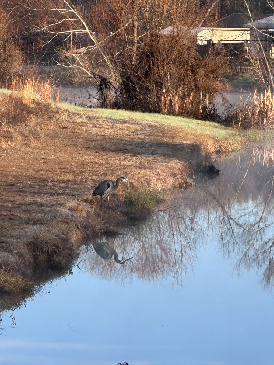 Willow Lake