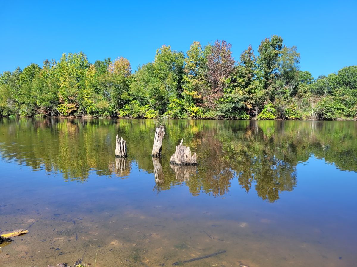 Busby Lake