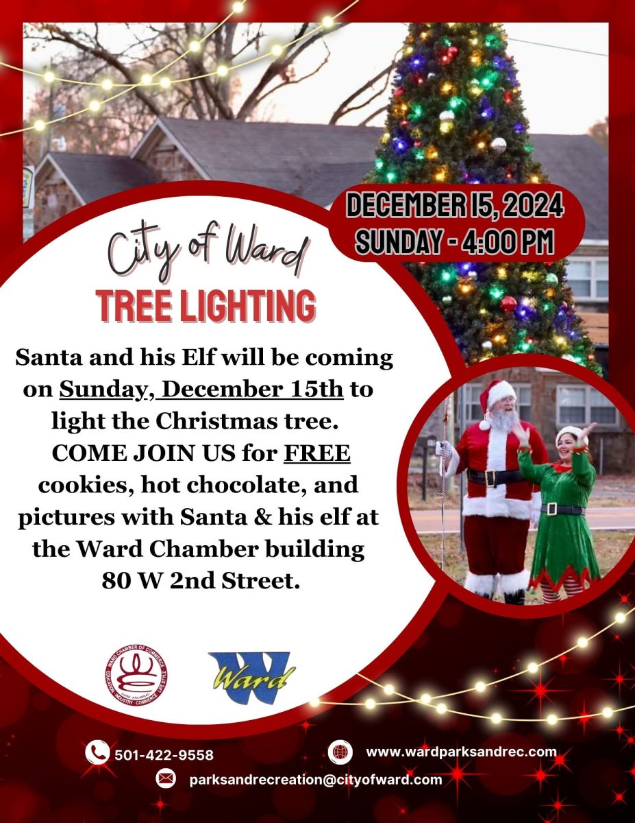 Tree lighting with Santa