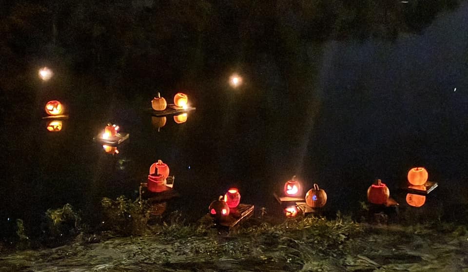 pumpkins floating on the water