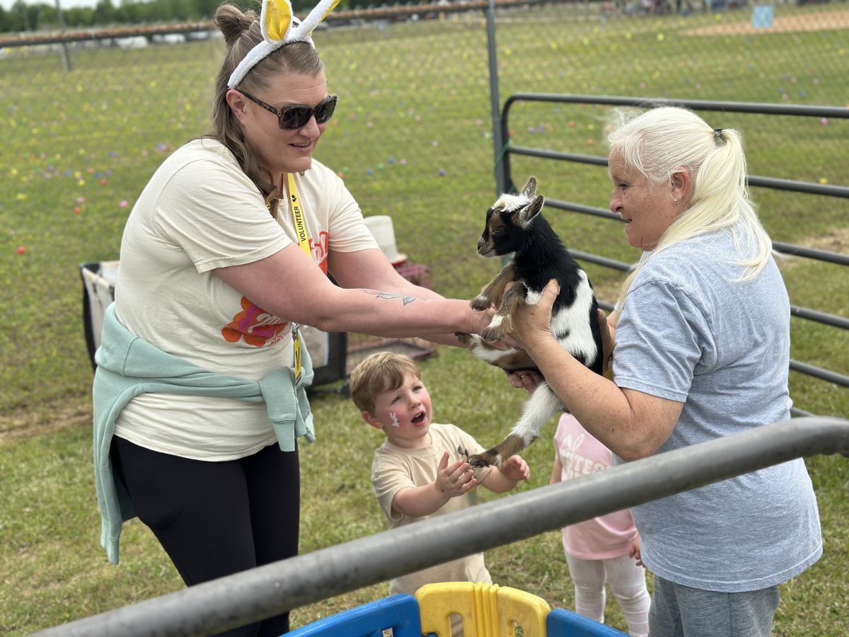 Petting zoo animals