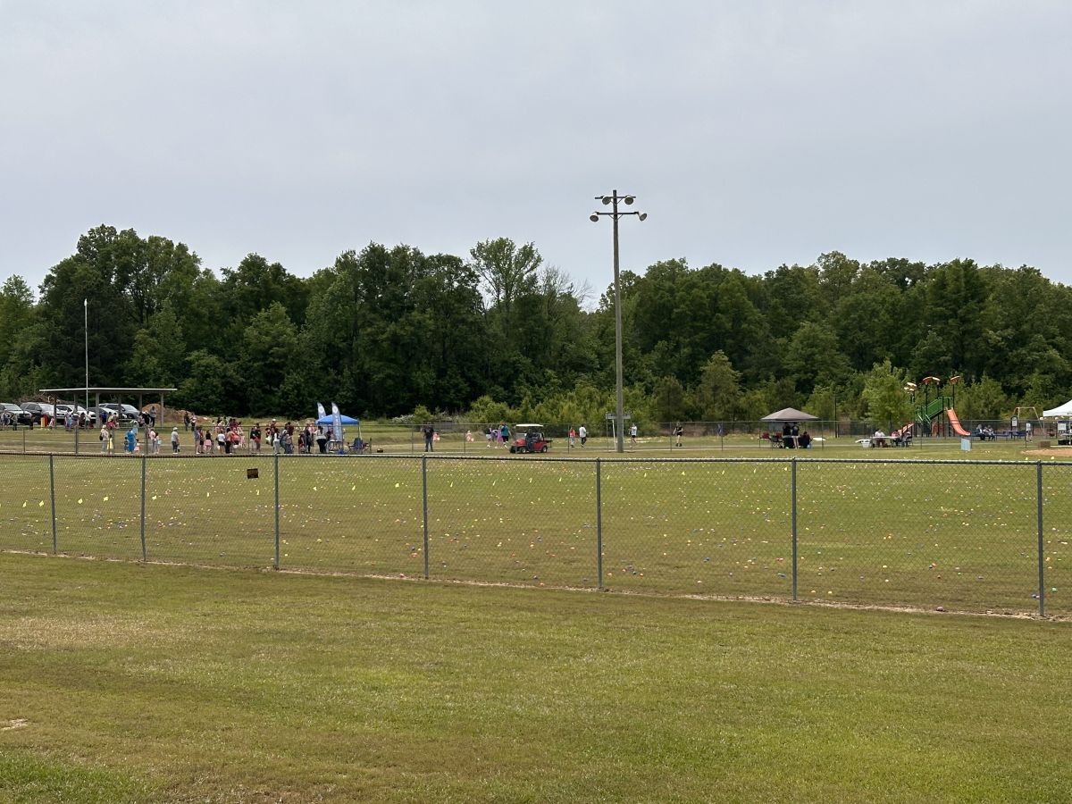 Thousands of eggs ready to be picked up by the kids in the ball field