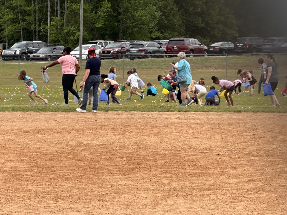 Egg hunt has started!