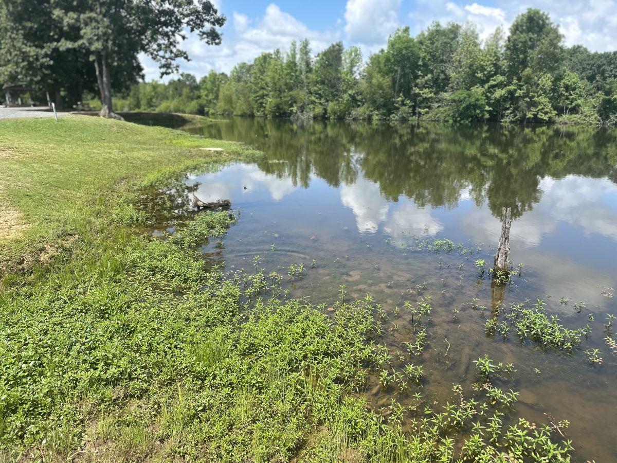 Busby Lake