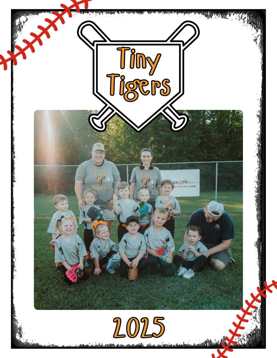 Tiny Tigers team